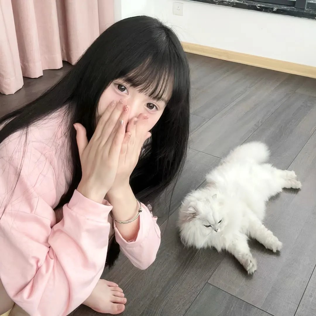 高飞